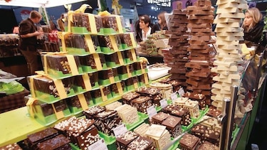 Chocolateros quieren a los mileniales cultivando cacao