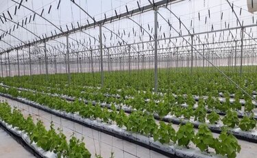 Inauguran en Coclé el vivero orgánico más grande de Centroamérica