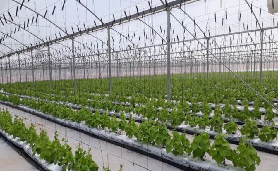 Inauguran en Coclé el vivero orgánico más grande de Centroamérica