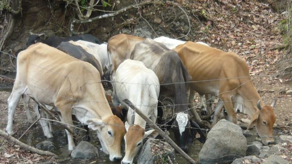 $5.1 millones en plan para sequía