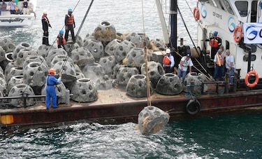Colocan arrecifes artificiales para reconstituir fauna marina en Guatemala