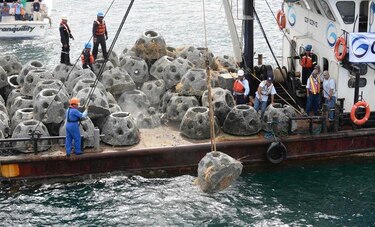 Colocan arrecifes artificiales para reconstituir fauna marina en Guatemala