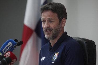 A Christiansen le gustaría tener más canchas naturales