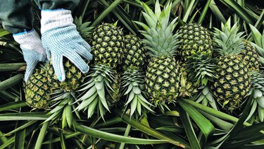 Obstáculos en exportaciones