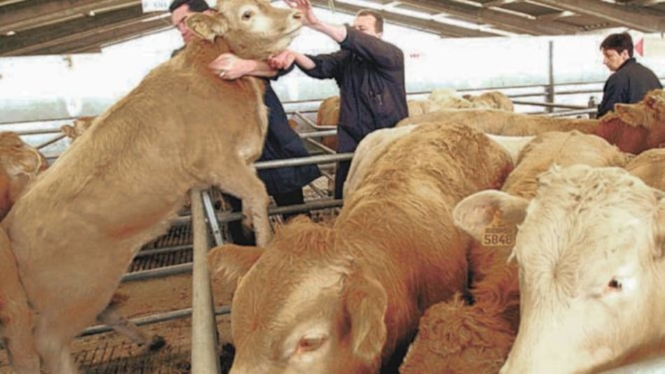 Proponen recortar subsidios al sector agrícola