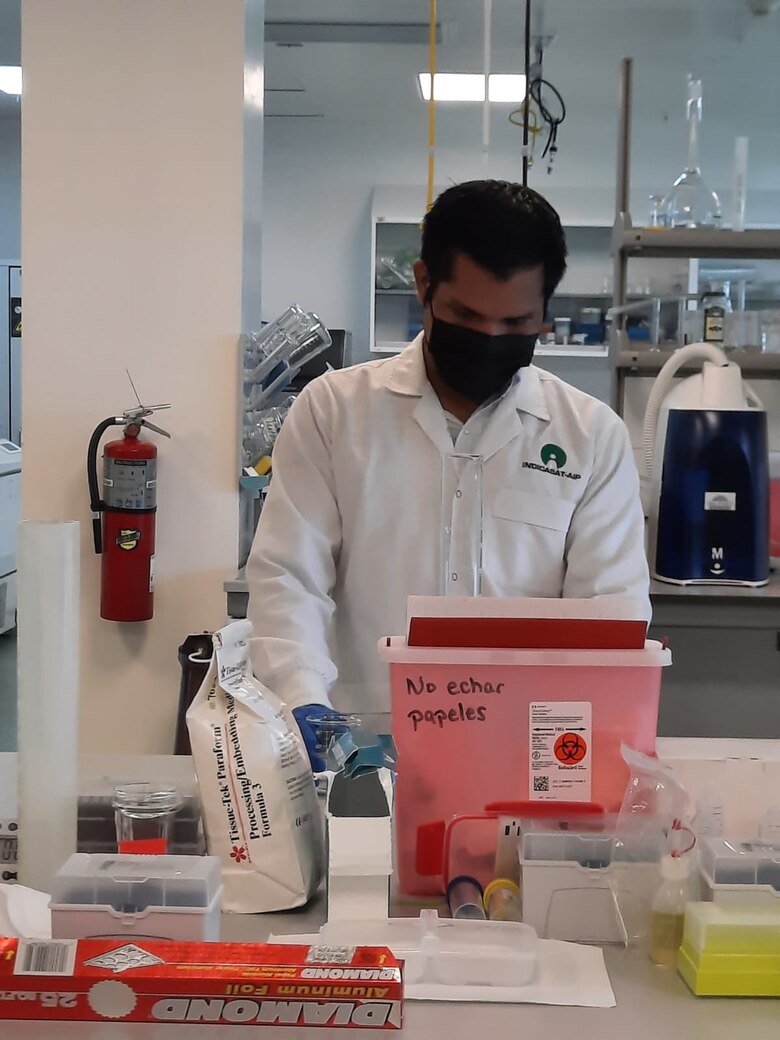 Científicos descifran la diversidad de bacterias que causan la tuberculosis en el occidente del país