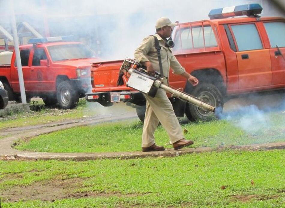 Retoman lucha contra el mosquito 'Aedes aegypti'