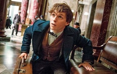 Eddie Redmayne finalmente tiene un chance con Harry Potter