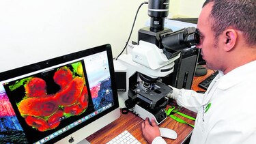 La ciencia requiere más apoyo