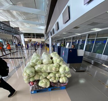 El corredor aéreo es el escape para mover productos del agro a la ciudad Panamá
