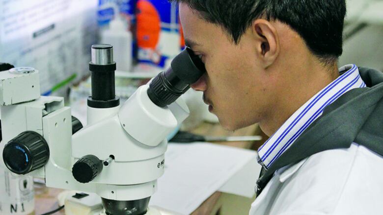 El valor de una colección zoológica