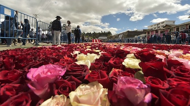 Ecuador busca nuevo título Guinness con arreglo de 500 mil rosas