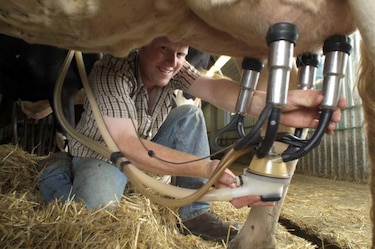 Identifican molécula de la leche que actúa como vitamina