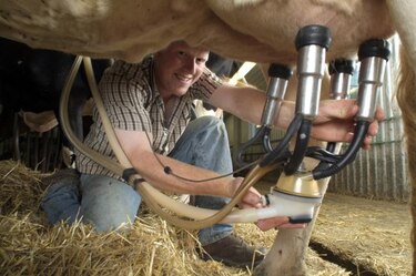 Identifican molécula de la leche que actúa como vitamina