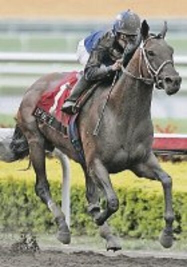 El mejor caballo del mundo se retira