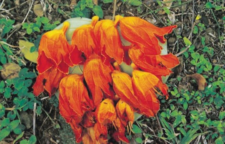 Cita con la fotografía