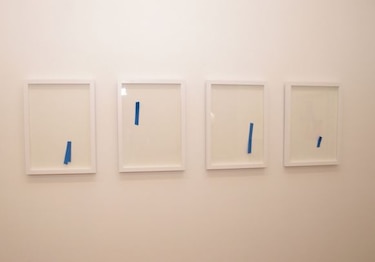 Belleza lineal y funcional