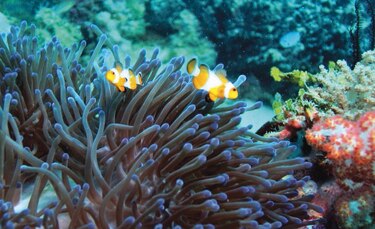 Diálogo por la biodiversidad