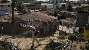 OMS: Zika preocupa pero Olimpiadas no deben aplazarse