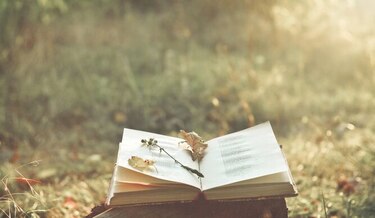 Celebrando a los poetas