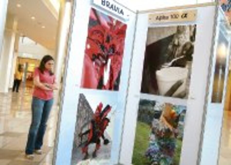 Visión de un salvadoreño en Panamá