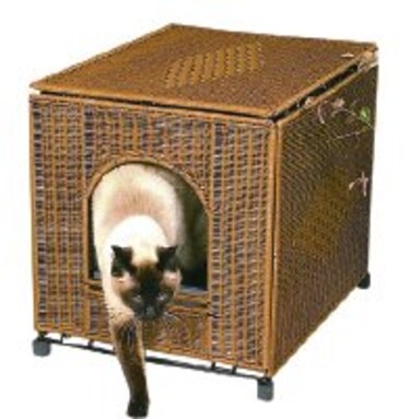 El exótico rey de Siam