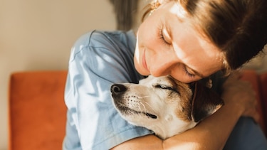 ¿Sabías que puedes asegurar a tu mascota en Panamá?