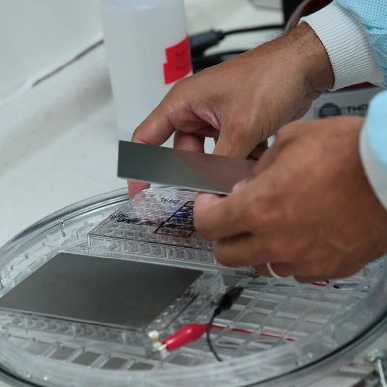 Tratar la malaria con energía y no con drogas, una meta ambiciosa