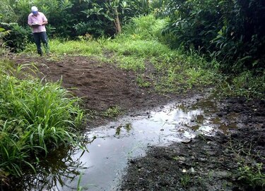Advierten sobre poca agua en fincas productoras