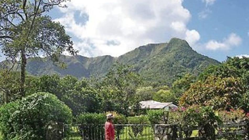 Plantas y animales para las calles de El Valle de Antón