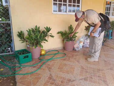 Minsa reporta tres nuevas muertes por dengue; cifra acumulada del año asciende a 44