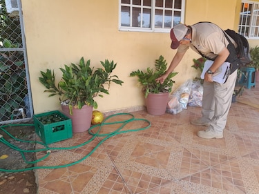 Minsa reporta tres nuevas muertes por dengue; cifra acumulada del año asciende a 44