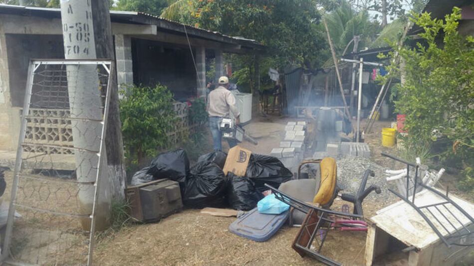 Salud: Se registran 118 casos de virus zika en Panamá