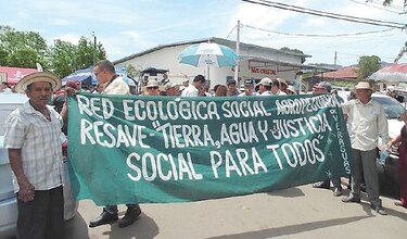Piden anular concesiones para más hidroeléctricas
