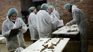 Comienzan a extraerse restos óseos de la cripta donde se busca a Cervantes