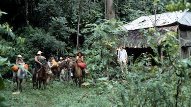 Parque Nacional Corcovado: el riesgo por el turismo que enfrenta en Costa Rica una de las reservas naturales más importantes del mundo