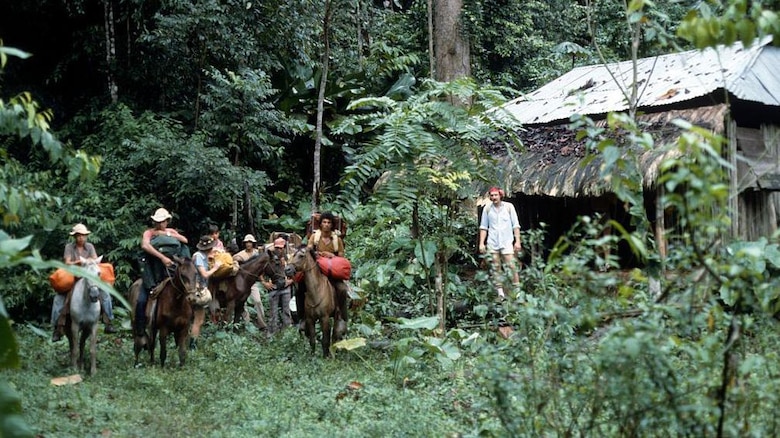 Parque Nacional Corcovado: el riesgo por el turismo que enfrenta en Costa Rica una de las reservas naturales más importantes del mundo
