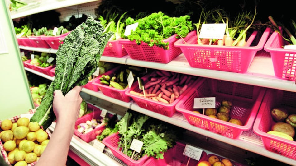 Orgánicos con sello panameño