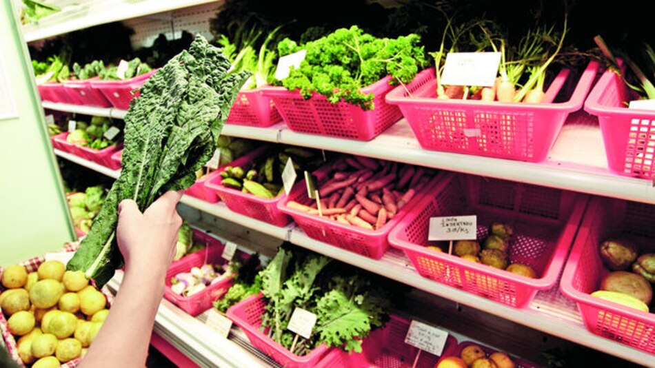 Orgánicos con sello panameño