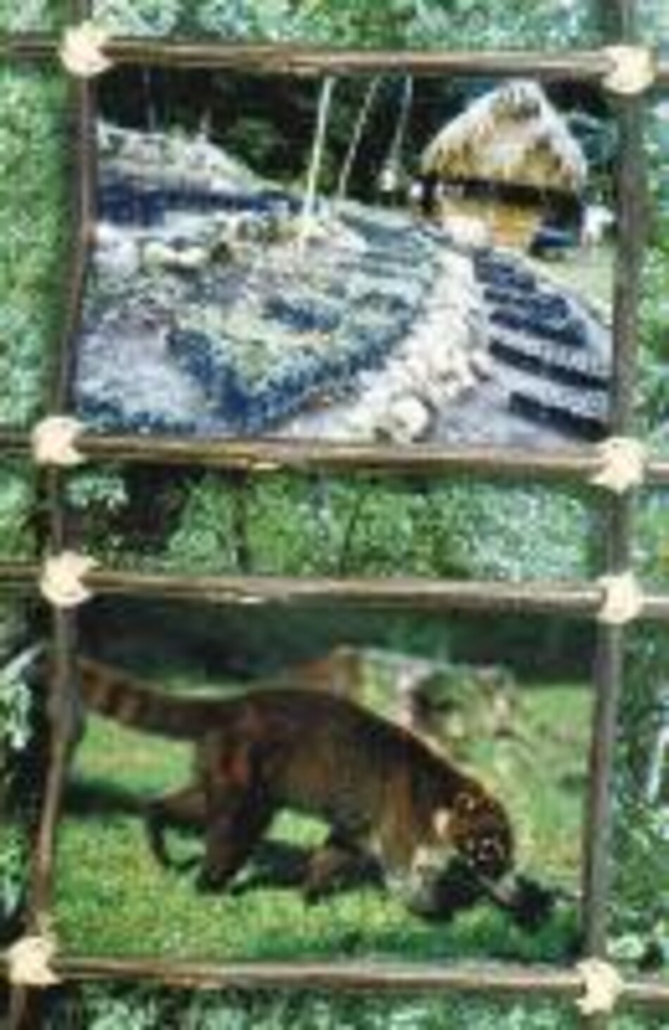 El 2001, un mal año para fideicomiso ecológico