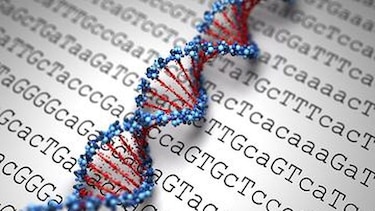 La biología molecular busca crear medicamentos personalizados