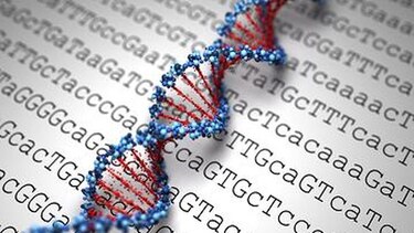 La biología molecular busca crear medicamentos personalizados