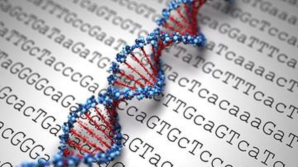 La biología molecular busca crear medicamentos personalizados