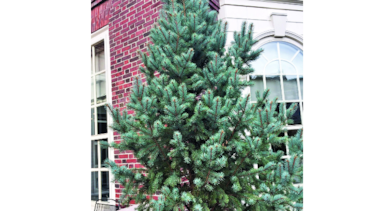 Boston, la ‘Nueva Inglaterra’