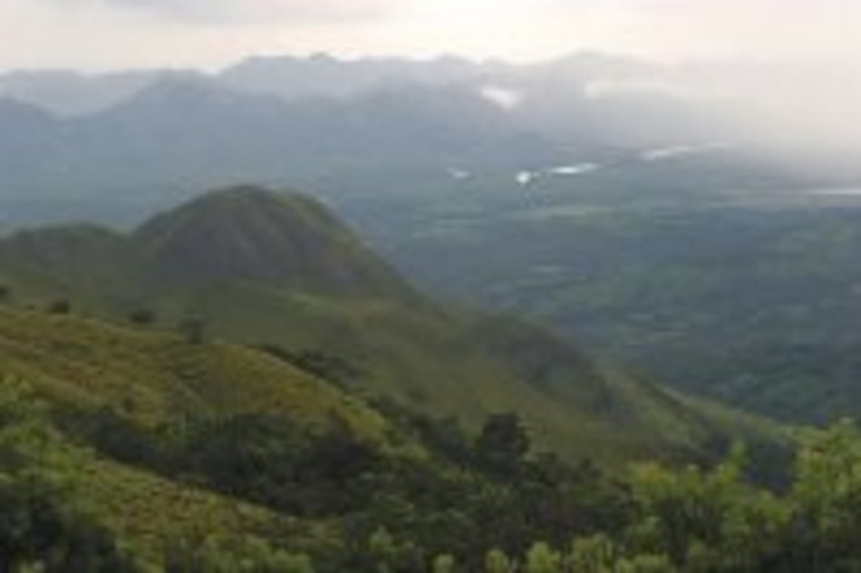 Incendio consume siete hectáreas en el Parque Nacional Altos de Campana