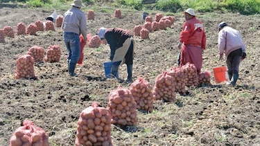 Piden revelar nombres de importadoras con anomalías