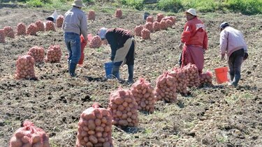 Piden revelar nombres de importadoras con anomalías