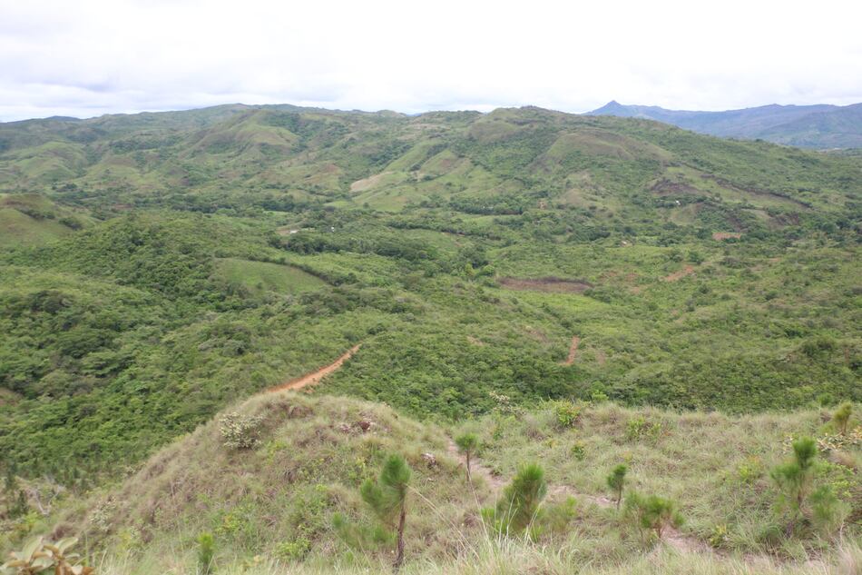 Corredor biológico entre áreas protegidas de Veraguas estará listo en agosto