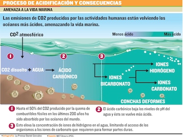 Oceános amenazados
