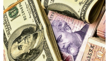 Peso argentino se devalúa ante el dólar